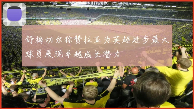 舒梅切尔称赞拉亚为英超进步最大球员展现卓越成长潜力