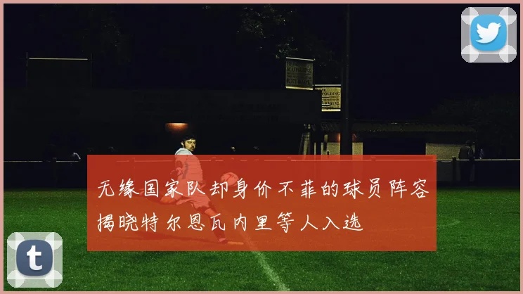 无缘国家队却身价不菲的球员阵容揭晓特尔恩瓦内里等人入选