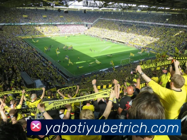 数据防护可视化